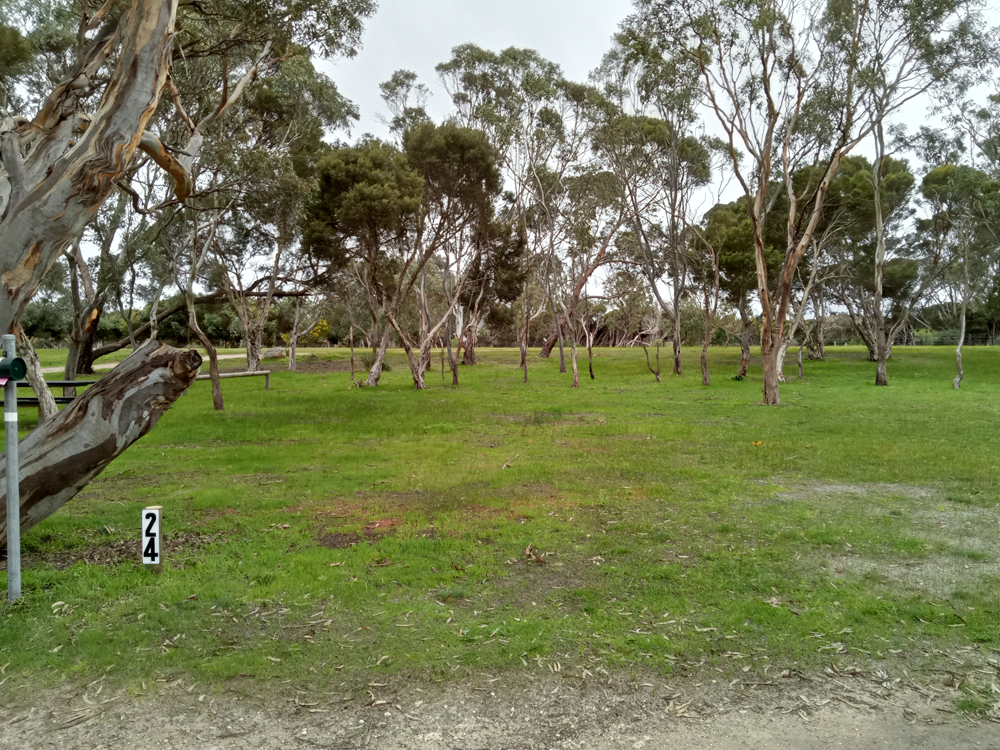 Campground on KI - Campsite 24