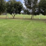 Kangaroo Island Campsite 30