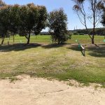 Kangaroo Island Campsite 31