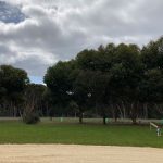 Kangaroo Island Campsite 33